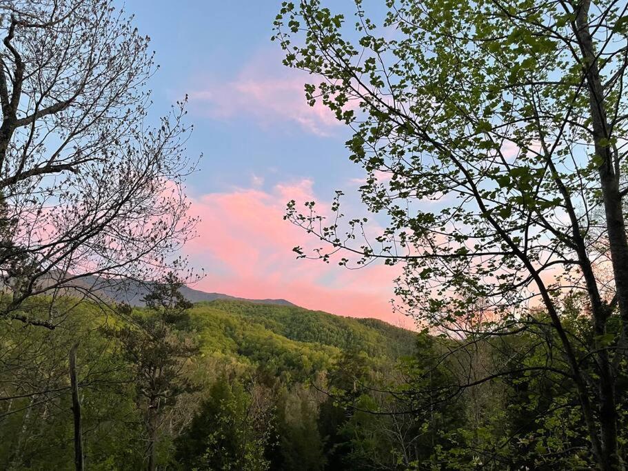 Smokiesboutiquecabins Would Love To Host You! 4 Miles To Gatlinburg Strip! Resort Pool Open May 1 Through Oct 1! Views, Shuffleboard, Hot Tub, Arcade! Luaran gambar