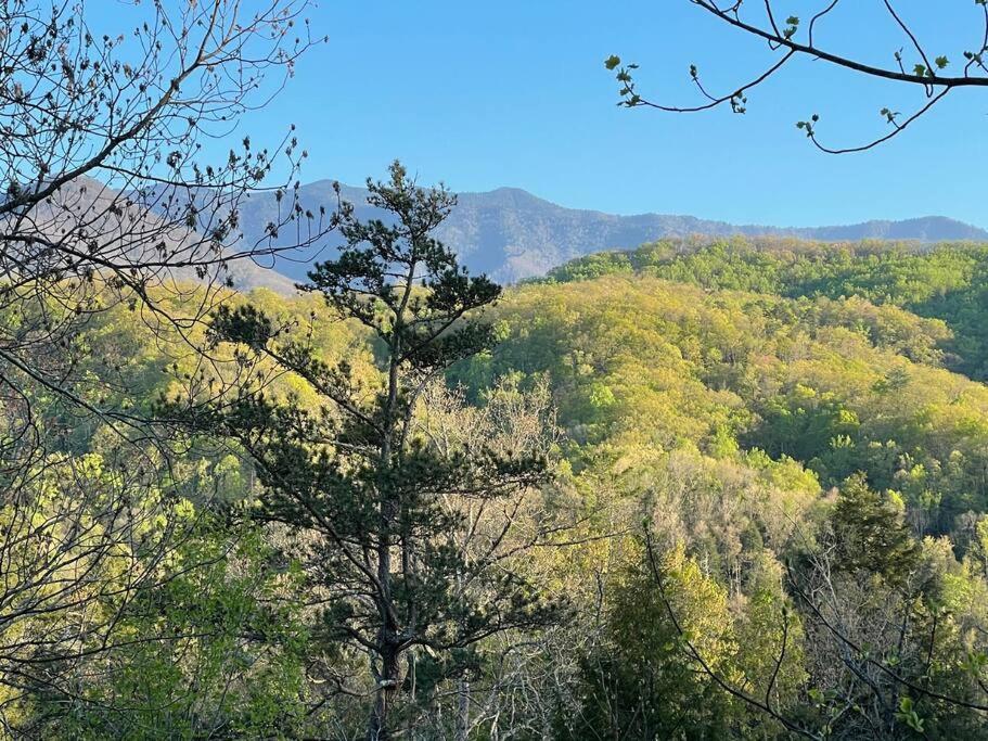 Smokiesboutiquecabins Would Love To Host You! 4 Miles To Gatlinburg Strip! Resort Pool Open May 1 Through Oct 1! Views, Shuffleboard, Hot Tub, Arcade! Luaran gambar