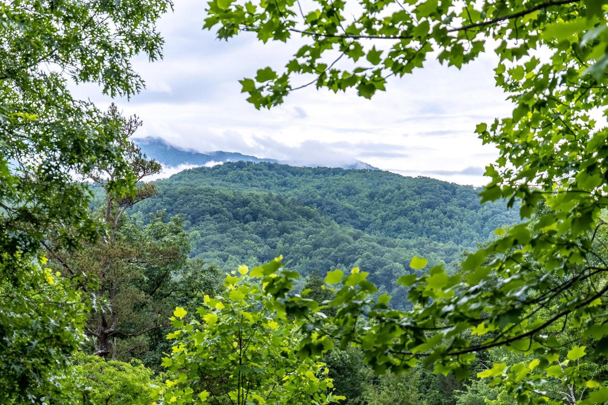 Smokiesboutiquecabins Would Love To Host You! 4 Miles To Gatlinburg Strip! Resort Pool Open May 1 Through Oct 1! Views, Shuffleboard, Hot Tub, Arcade! Luaran gambar